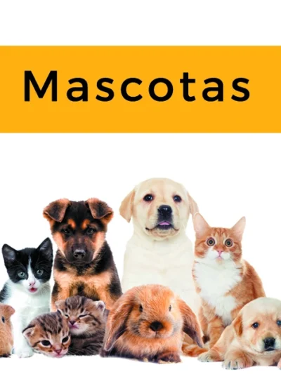 Mascotas