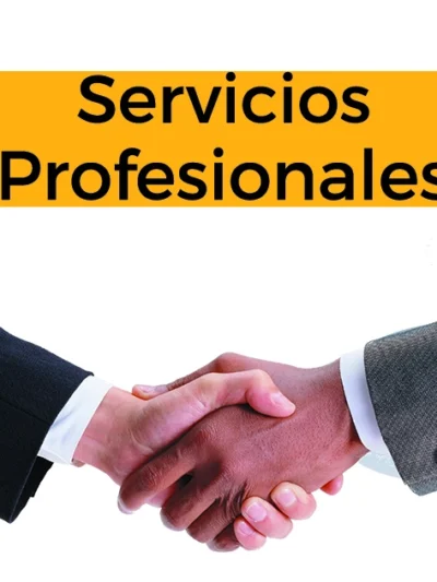 Servicios Profesionales